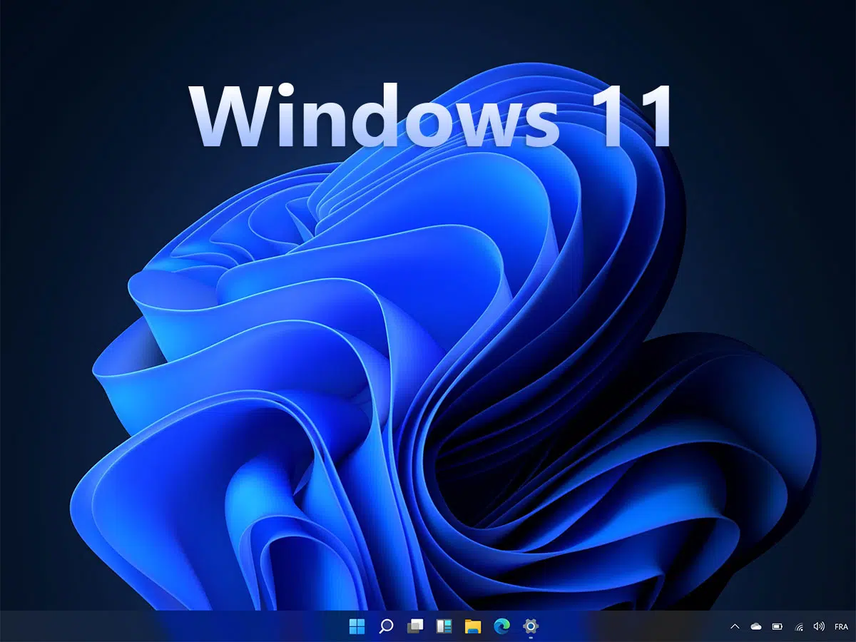 Windows 11