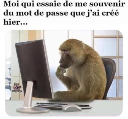 487928942_1100300738802201_4987228490915881164_n