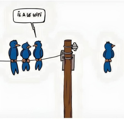 Oiseau-Wi-fi