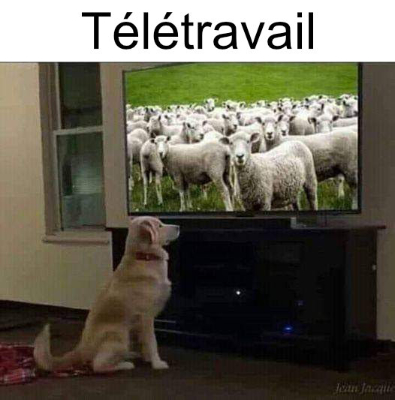 Teletravail